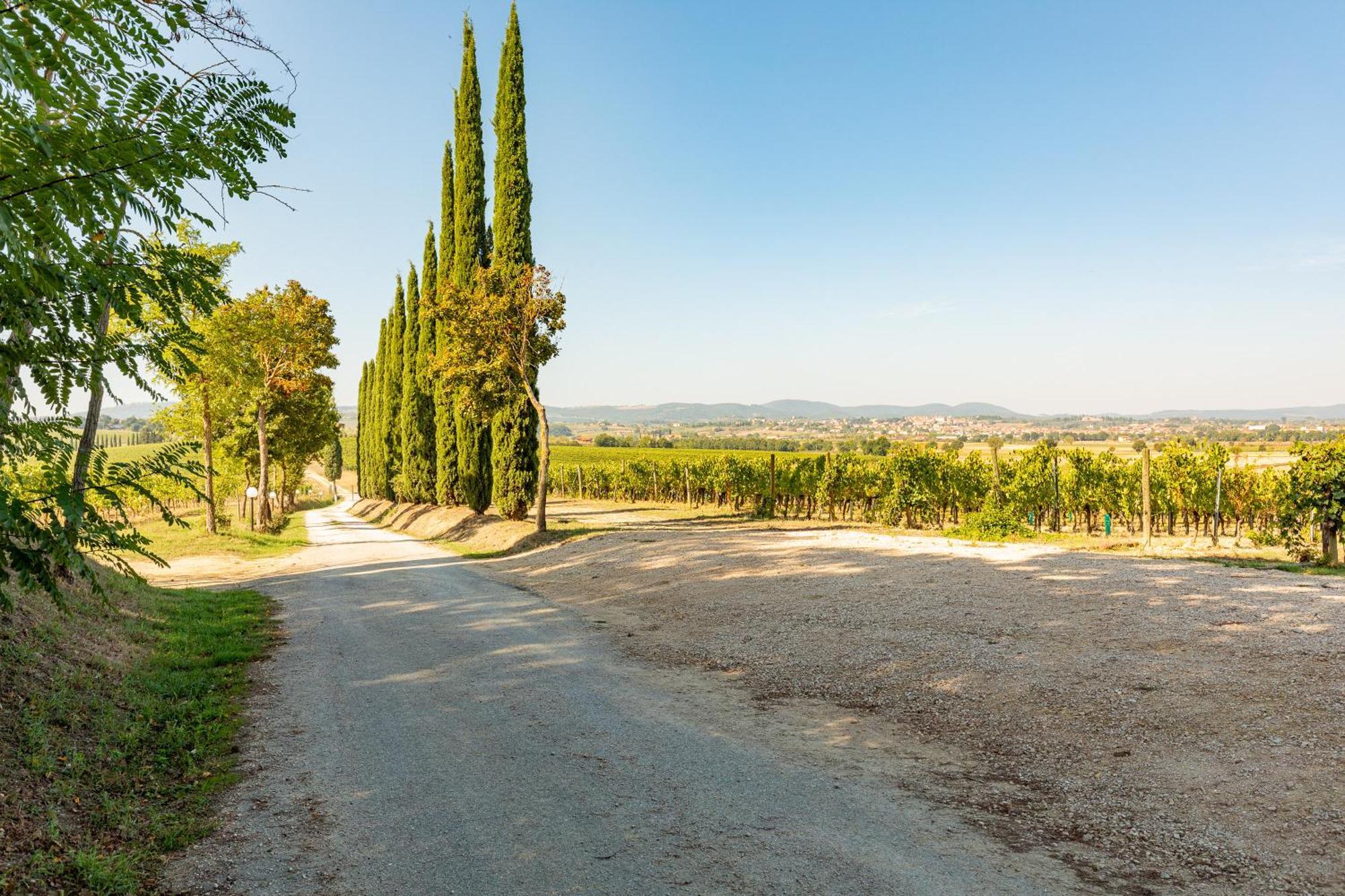 Appartamento Greppino Montepulciano Stazione Exterior foto