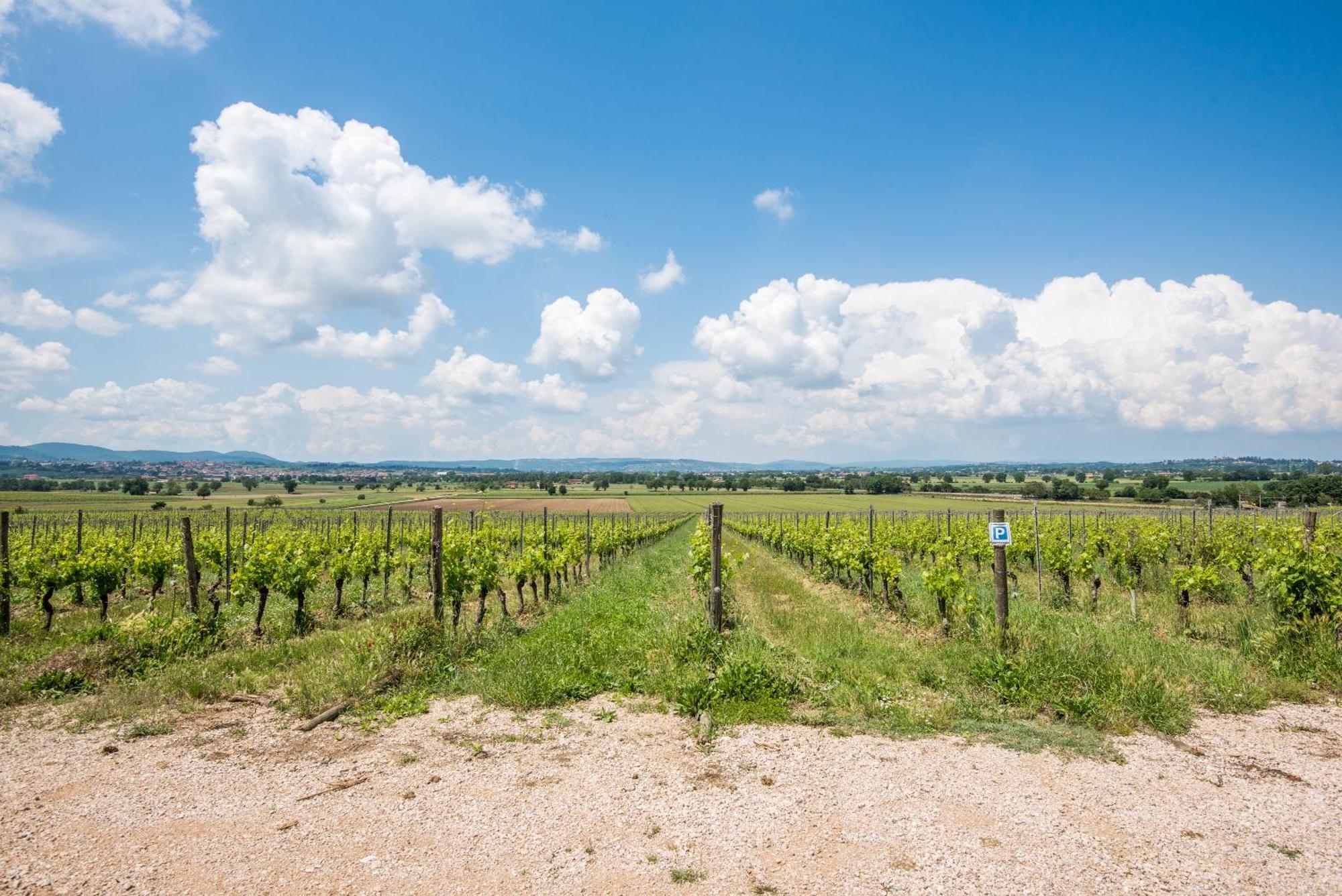 Appartamento Greppino Montepulciano Stazione Exterior foto